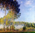 Peupliers sur les bords de la rivière Epte vu du marais Claude Monet